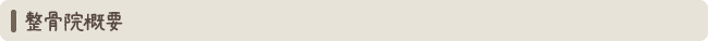 整骨院概要