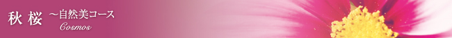 秋桜～自然美コース