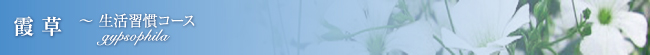 霞草～生活習慣コース