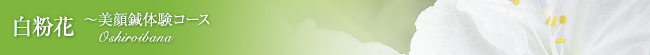 白粉花～美顔鍼体験コース