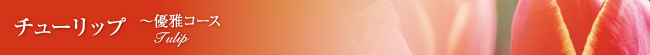 チューリップ～優雅コース
